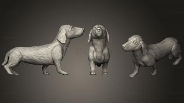 3D model Gold Dachshund (STL)